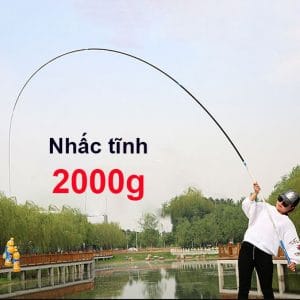 hoang gia tai