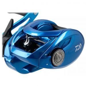 Daiwa Coastal SV TW 4