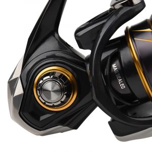 Daiwa 21 Caldia 2
