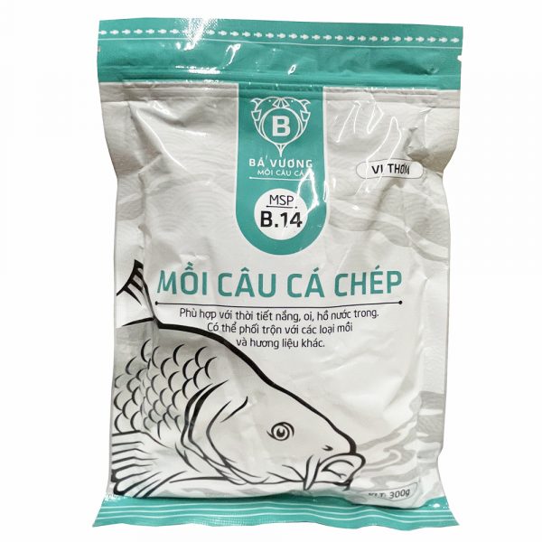 Moi cau ca chep B14