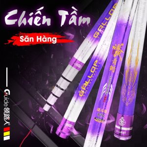 Guide Chien Tam