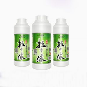tao-soi-lao-quy-1