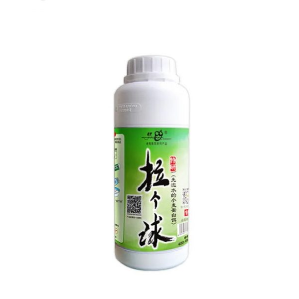 tao-soi-lao-quy