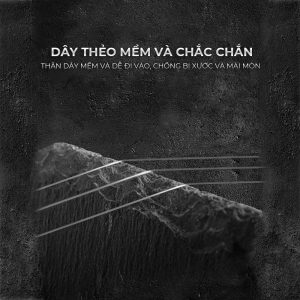 theo-san-hang-dia-long-1