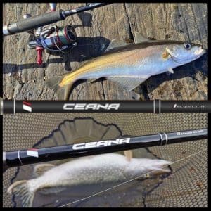 MAJOR-CRAFT-SPINNING-ROD-CEANA-CNS-5