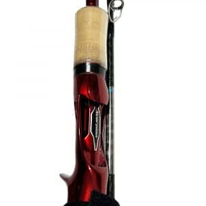 can-scorpion-21-2